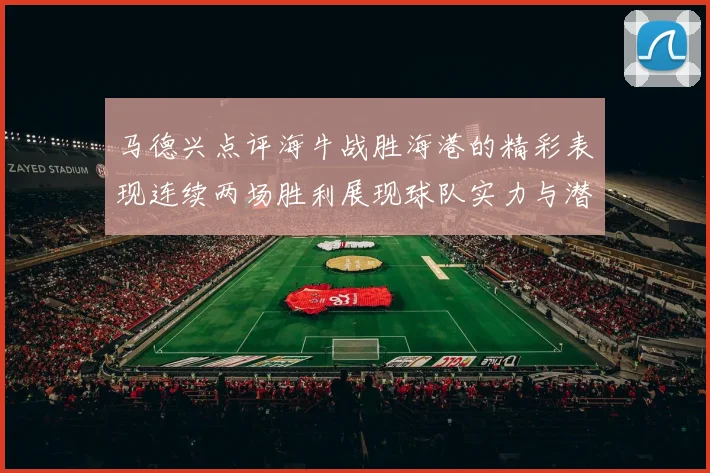 马德兴点评海牛战胜海港的精彩表现连续两场胜利展现球队实力与潜力